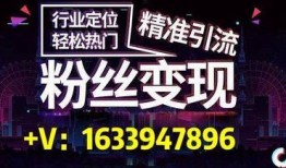 南昌网红爆料视频最新,揭秘城市新地标背后的故事
