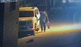 廊坊小区黑人爆料视频,揭露背后惊人真相