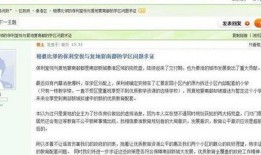 新城最新爆料消息视频,最新视频揭秘幕后真相，震撼来袭！