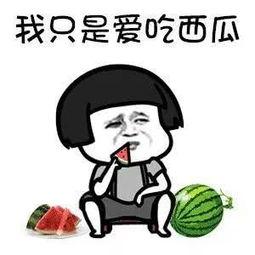 娱乐圈吃瓜去哪吃