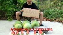 娱乐搞笑吃瓜视频大全集,笑点满满，欢乐无限